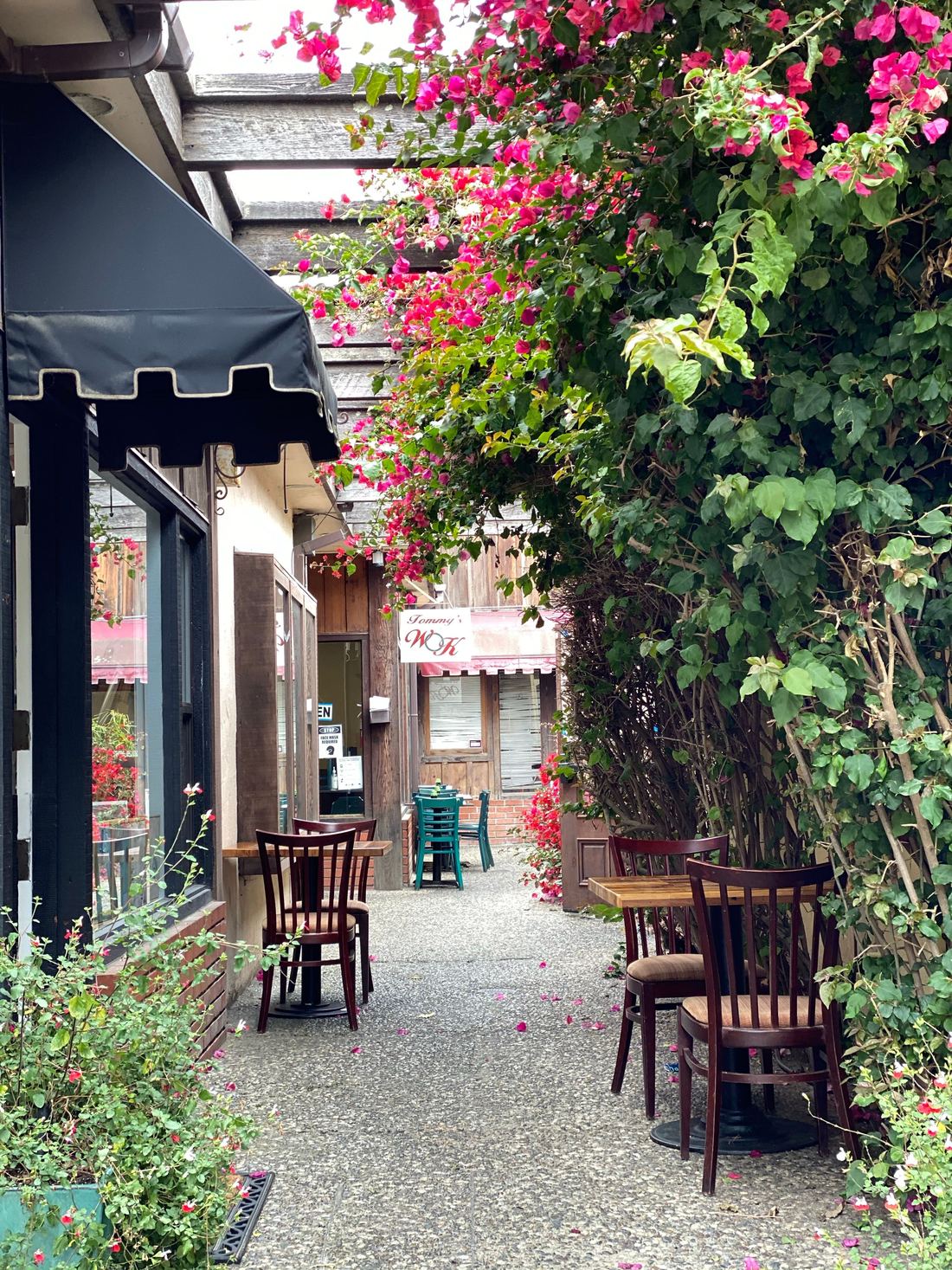 A flower-covered courtyard in Carmel-by-the-Sea